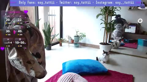 Tutti  online show from January 12, 2026, 4:12 pm