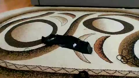 Sweet bluegirl online show from March 6, 2026, 11:45 pm