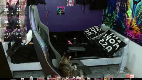 Snapshot of sweet_kitty66 chatting on September 20, 2025, 11:28 pm elizabeth grey online show from September 20, 2025, 11:28 pm