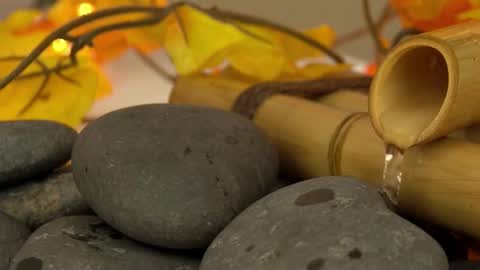 Sandra online show from October 26, 2025, 1:28 pm