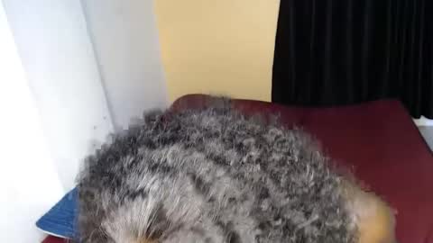 ellanah Tracie online show from September 30, 2025, 12:04 am