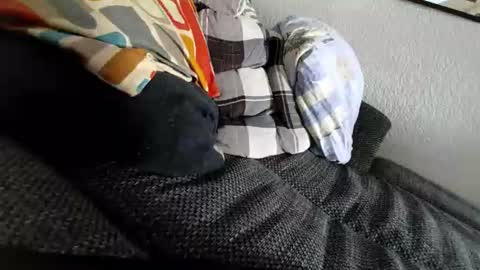 Sweetboy online show from July 31, 2026, 2:49 pm