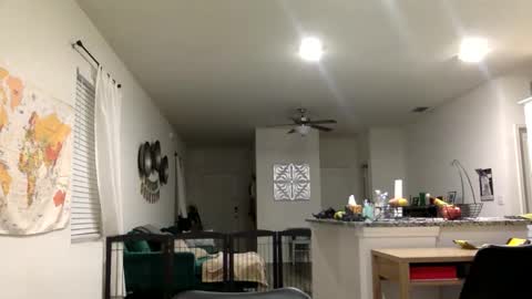 sweetriddance online show from March 1, 2026, 11:34 am