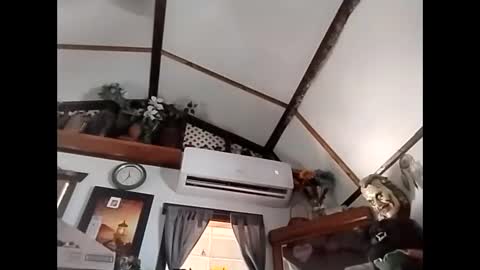 Snapshot of sweetsugar64 chatting on February 3, 2026, 4:23 pm sweetsugar64 online show from February 3, 2026, 4:23 pm