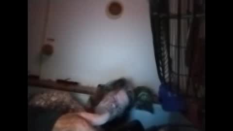 Snapshot of sweetsugar64 chatting on March 8, 2026, 6:17 am sweetsugar64 online show from March 8, 2026, 6:17 am