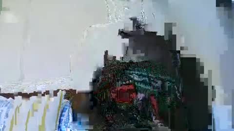 Cute vixen online show from December 5, 2024, 12:44 pm