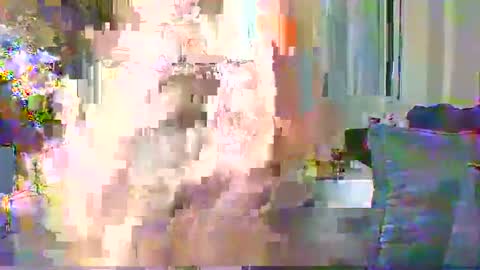 Cute vixen online show from December 11, 2024, 2:30 am