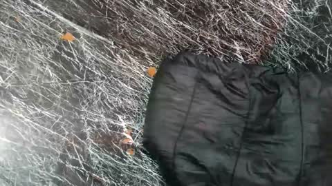 Snapshot of sweetyguyxxx1998 chatting on November 8, 2025, 7:52 am - allen online show from November 8, 2025, 7:52 am