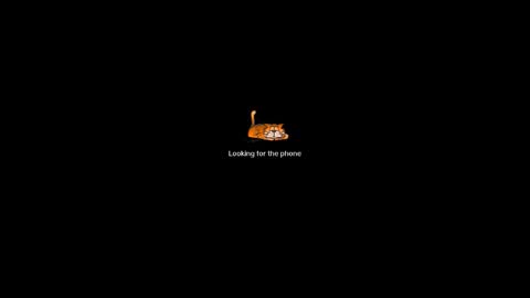 Brown Fox online show from December 25, 2024, 5:58 pm