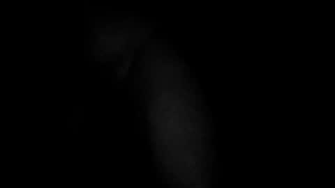 swollpole2112 online show from March 10, 2026, 5:01 am