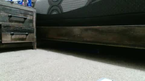 sxtn002 online show from December 20, 2024, 1:25 am