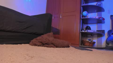 Snapshot of syd_onnfire chatting on December 18, 2024, 2:32 am Syd online show from December 18, 2024, 2:32 am