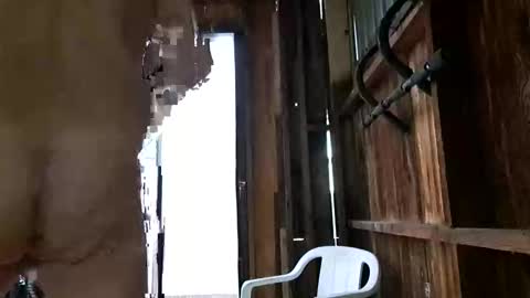 Snapshot of syevecrl chatting on October 27, 2025, 12:47 am syevecrl online show from October 27, 2025, 12:47 am