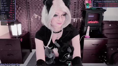 Snapshot of sylvie_fey chatting on January 25, 2025, 2:58 am Sylvie online show from January 25, 2025, 2:58 am