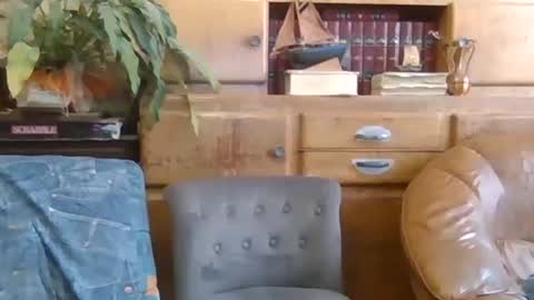 sympa_trique online show from October 9, 2025, 10:35 am