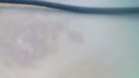 Snapshot of syrius57920 chatting on December 5, 2024, 8:22 am syrius57920 online show from December 5, 2024, 8:22 am