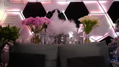 TAANNI online show from January 31, 2025, 6:13 am