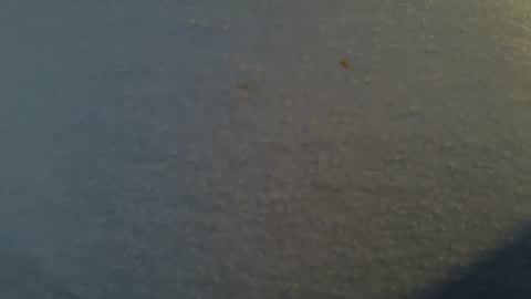 tallwxguy online show from May 22, 2026, 6:13 pm