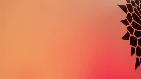 Snapshot of tamarathompsonn chatting on February 25, 2025, 3:49 pm Tamara. online show from February 25, 2025, 3:49 pm