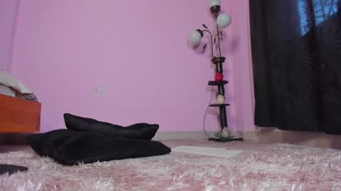 Snapshot of tammy_evans chatting on January 23, 2025, 3:22 pm TAMARA online show from January 23, 2025, 3:22 pm