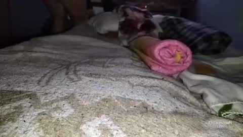 Snapshot of tangaxhentai3 chatting on January 6, 2025, 12:48 am tangaxhentai3 online show from January 6, 2025, 12:48 am