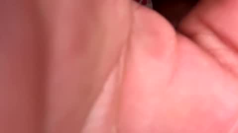 tasmanwawatai27 online show from February 20, 2026, 12:05 pm