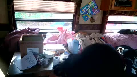 Snapshot of tastycakes999 chatting on November 18, 2025, 6:45 pm tastycakes999 online show from November 18, 2025, 6:45 pm