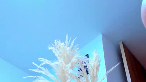 tayler_swift1 online show from February 13, 2026, 6:37 pm