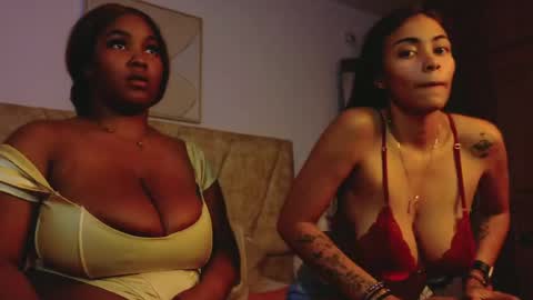 taylorcollinss online show from June 3, 2026, 2:19 pm