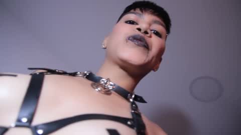 Snapshot of taylorharp chatting on December 16, 2024, 6:27 pm Taylor online show from December 16, 2024, 6:27 pm