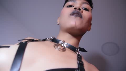 Snapshot of taylorharp chatting on January 9, 2025, 8:11 pm Taylor online show from January 9, 2025, 8:11 pm