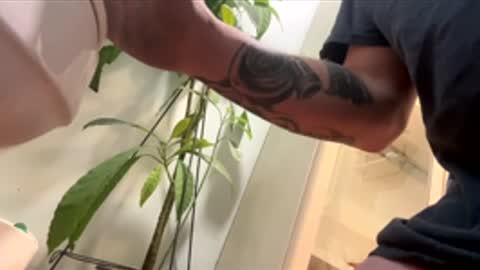 teet69 online show from March 10, 2026, 10:15 pm