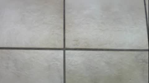 Snapshot of teninchheels chatting on December 22, 2024, 1:00 pm teninchheels online show from December 22, 2024, 1:00 pm