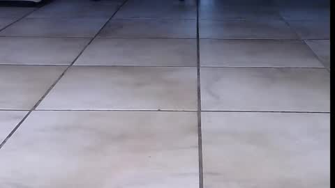 Snapshot of teninchheels chatting on September 16, 2025, 6:31 pm teninchheels online show from September 16, 2025, 6:31 pm