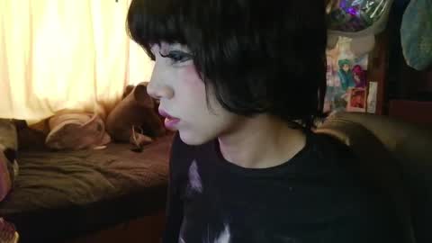 Terra Elowen online show from April 9, 2026, 1:38 pm