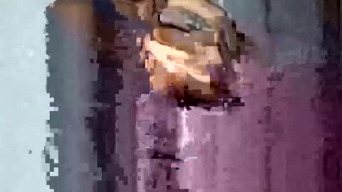 TexasDick online show from November 16, 2025, 1:55 am