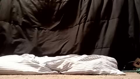 Snapshot of thatb1 chatting on September 28, 2025, 5:13 am thatb1 online show from September 28, 2025, 5:13 am