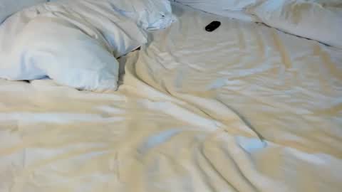 Snapshot of thatguyfromx chatting on February 5, 2026, 4:11 pm That guy follow on X online show from February 5, 2026, 4:11 pm