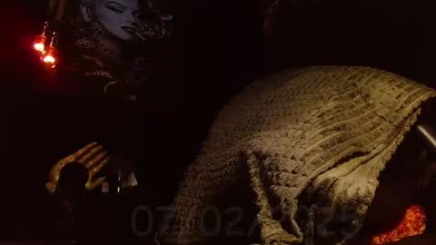 Snapshot of the_anfitrion69 chatting on February 7, 2025, 3:30 pm GIORGGIO online show from February 7, 2025, 3:30 pm