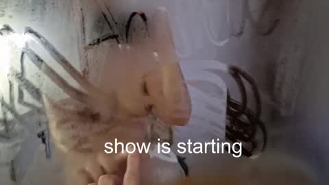 Anna online show from May 23, 2026, 12:05 am