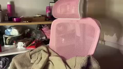 thecontcobracock24cm online show from February 7, 2025, 12:42 am