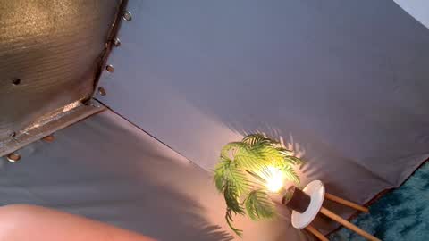 Snapshot of thedevil_inme chatting on December 12, 2024, 12:05 am Lana But you can spell it backwards online show from December 12, 2024, 12:05 am