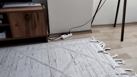 Snapshot of thefckngcber chatting on September 28, 2025, 9:53 pm thefckngcber online show from September 28, 2025, 9:53 pm