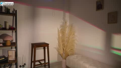 Snapshot of thegingerp chatting on February 4, 2025, 9:52 pm Streaming mostly at online show from February 4, 2025, 9:52 pm