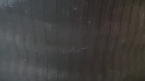 Lucy Lucy online show from November 22, 2025, 3:22 pm