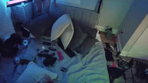 Snapshot of theperfectbottom chatting on November 17, 2025, 11:49 am theperfectbottom online show from November 17, 2025, 11:49 am