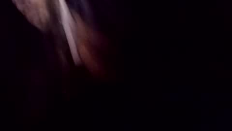 theprofessorxo online show from September 29, 2025, 12:49 am