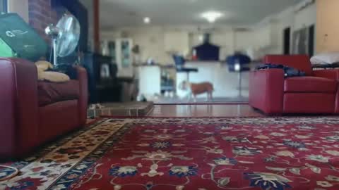 Snapshot of therealkurva4u chatting on February 8, 2025, 5:08 am therealkurva4u online show from February 8, 2025, 5:08 am