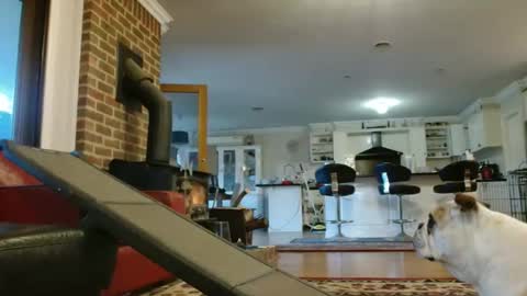 Snapshot of therealkurva4u chatting on September 25, 2025, 8:07 am therealkurva4u online show from September 25, 2025, 8:07 am