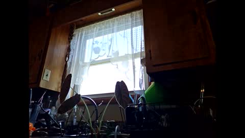 Snapshot of therizzler_1_of_1 chatting on September 11, 2025, 6:30 pm therizzler_1_of_1 online show from September 11, 2025, 6:30 pm